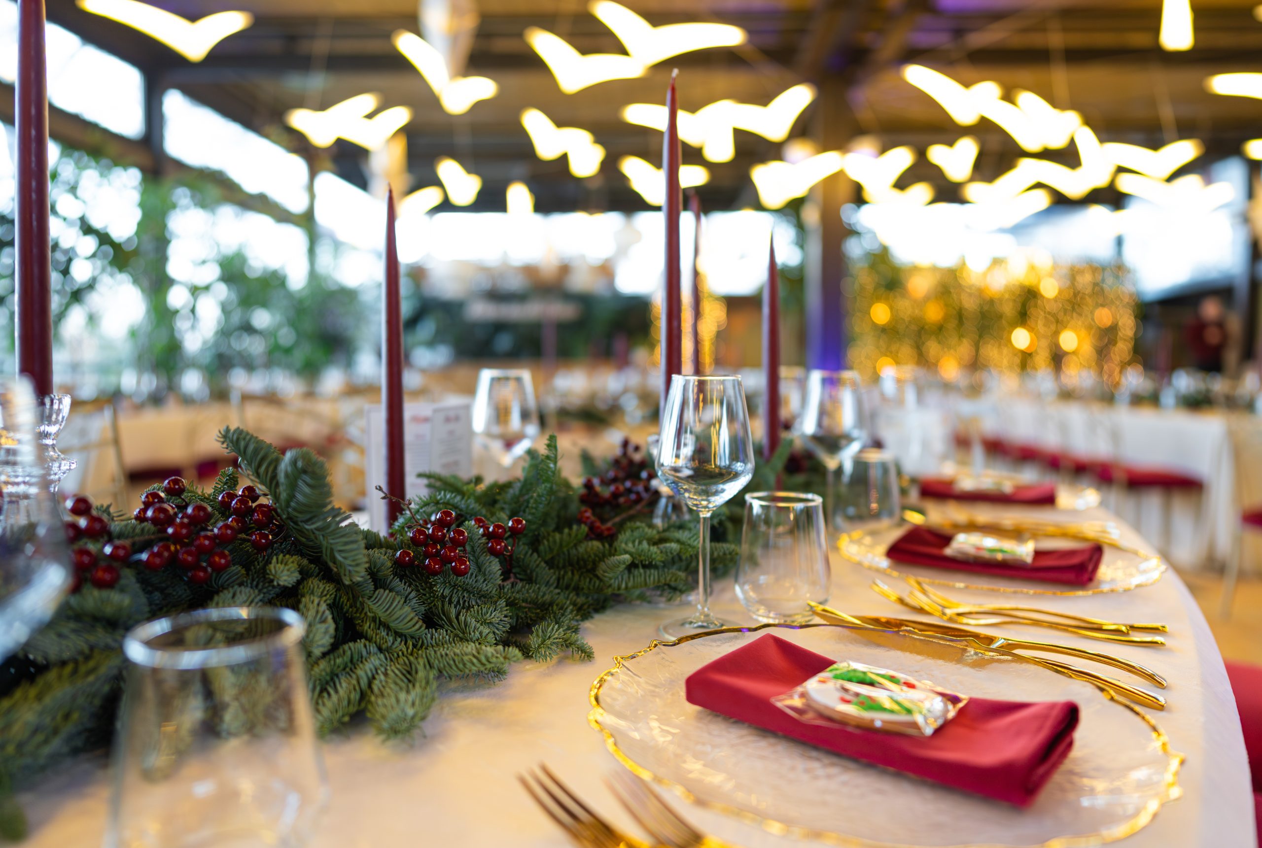 Eveniment Pescăruș